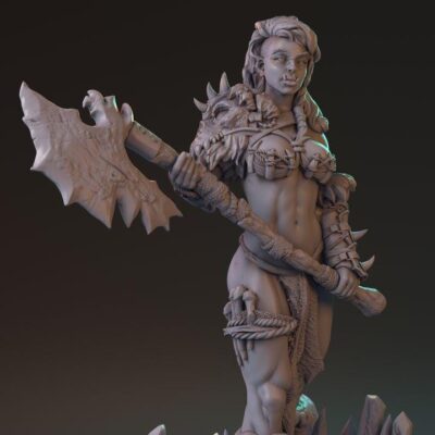 Nerteh Mickhar Orc Barbarian - Hardwitch