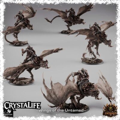 Orc Wyvern Mounts Wings of the Untamed | Resin 3D Printed Wyvern Riders | DnD / TTRPG Monsters | 60mm Base Wargaming Cavalry (Rescale)